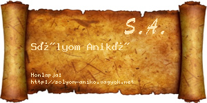 Sólyom Anikó névjegykártya