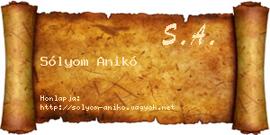 Sólyom Anikó névjegykártya